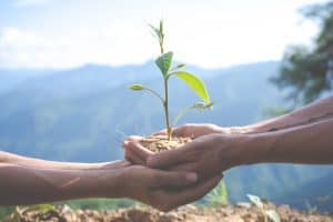 L’éco-conception désigne la volonté de concevoir des produits respectant les principes du développement durable et de l'environnement.