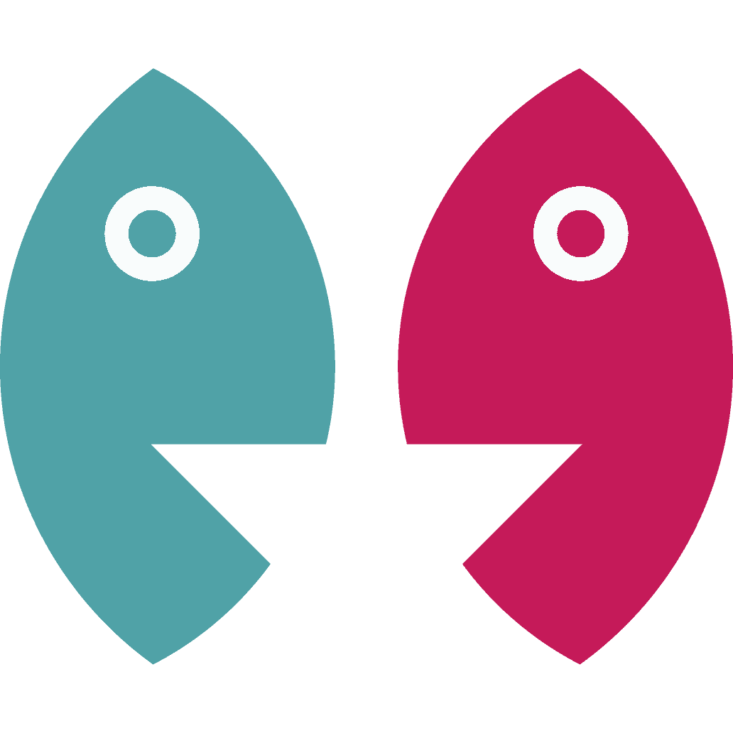 Solv&rsquo;it : déterminez la meilleure stratégie de financement pour vos futurs projets